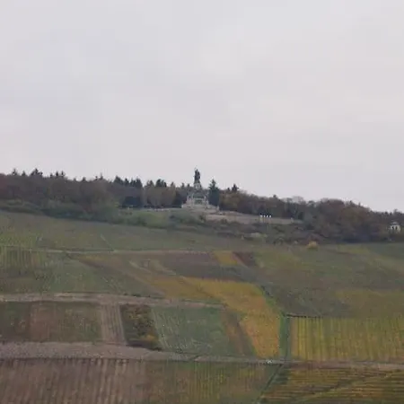 Rheinblick アパート ビンゲン・アム・ライン