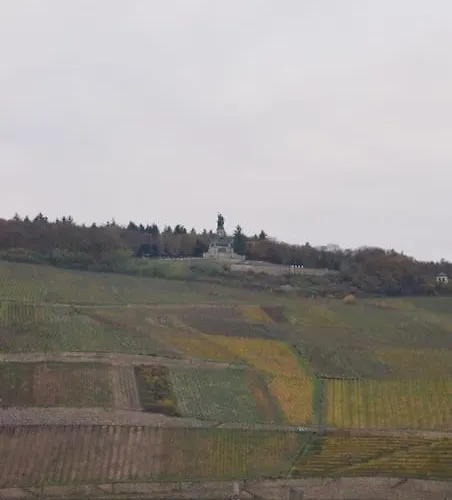 Rheinblick Apartment Bingen am Rhein